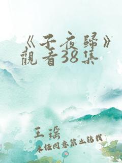 《子夜归》免费观看38集