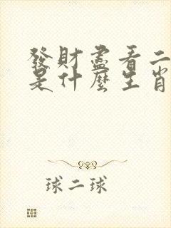 发财尽看二四六是什么生肖