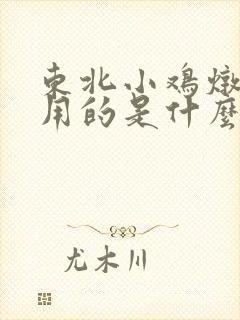东北小鸡炖蘑菇用的是什么蘑菇