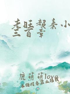 老旺超秦小雨第三百章