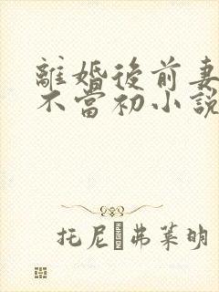 离婚后前妻她悔不当初小说完全版