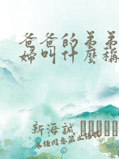 爸爸的弟弟的媳妇叫什么称呼