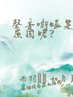 声音嘶哑是什么原因呢?