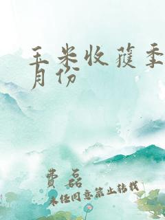 玉米收获季节几月份