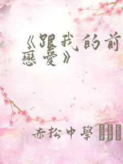 《跟我的前妻谈恋爱》
