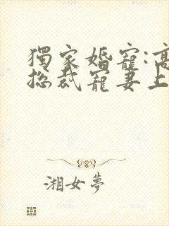 独家婚宠:高冷总裁宠妻上瘾