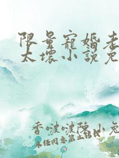 限量宠婚老公别太坏小说免费阅读