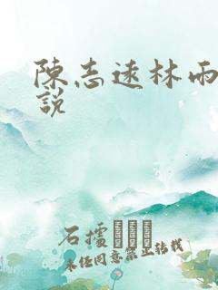 陈志远林雨晴小说
