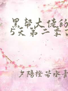 黑帮大佬的365天第二季高清免费