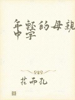 年轻的母亲韩剧中字