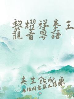 黎耀祥拳王在线观看粤语