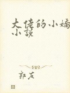 大佬的小娇夫 小说