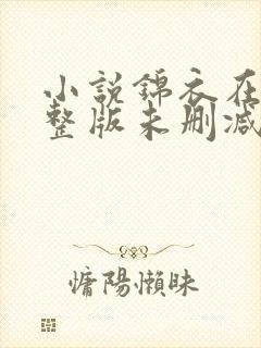 小说锦衣在上完整版未删减小说