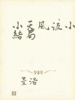 小天风流小说大结局