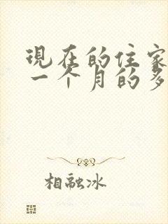 现在的住家保姆一个月的多少钱