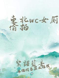 东北wc女厕所偷拍