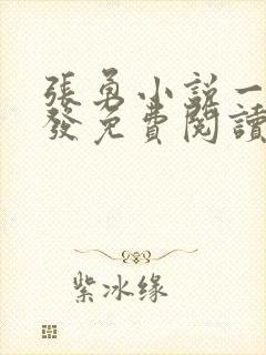 张勇小说一触即发免费阅读