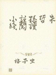 小说孙哲朱彦在线阅读