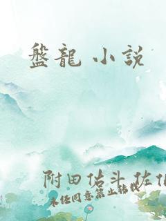 盘龙 小说