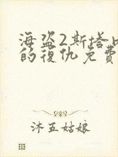 海盗2斯塔内蒂的复仇免费观看