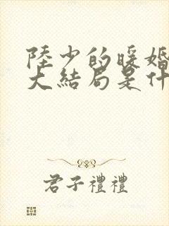 陆少的暖婚新妻大结局是什么