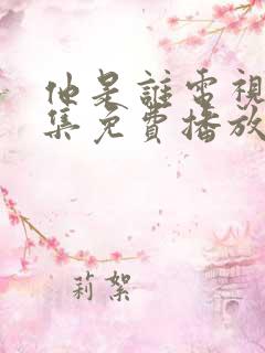 他是谁电视剧全集免费播放完整版