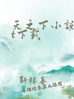 天之下小说txt下载