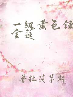 一级黄色录像潘金莲