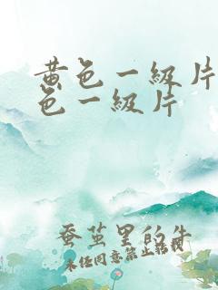 黄色一级片,黄色一级片