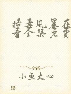 扫毒风暴在线观看全集免费高清