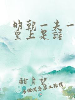 明朝一夫一妻的皇上是谁