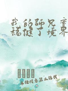我的师兄实在太稳健了境界划分
