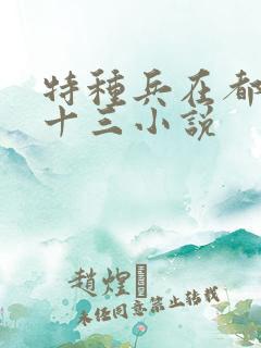 特种兵在都市夜十三小说