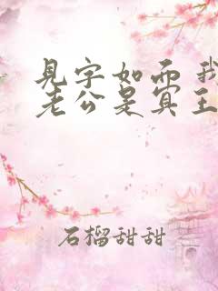 见字如面 我的老公是冥王