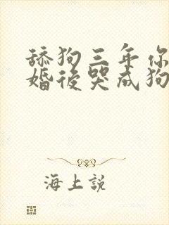 舔狗三年你装瞎婚后哭成狗小说免费阅读