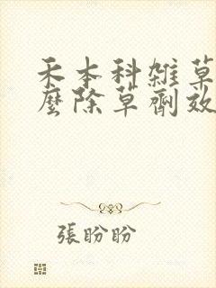 禾本科杂草用什么除草剂效果最好