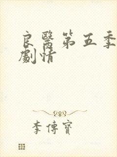 良医第五季分集剧情