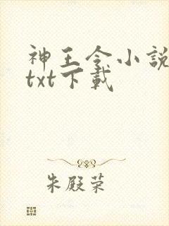 神王令小说免费txt下载