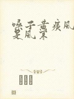 嗓子黄痰风热还是风寒