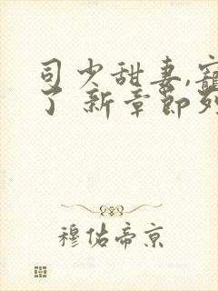 司少甜妻,宠定了 新章节列表