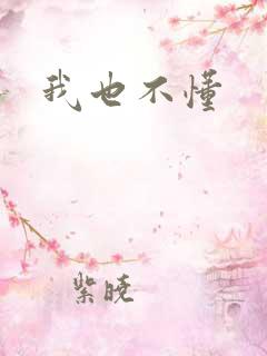 我也不懂