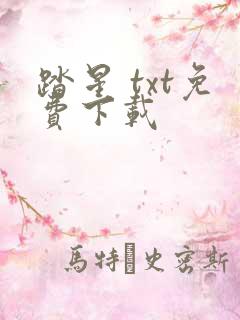 踏星 txt免费下载