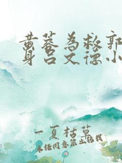 黄蓉为救郭靖献身吕文德小说免费阅