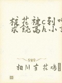 校花被c到呻吟求饶高h小说