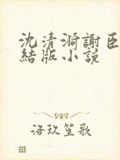 沈清漪谢臣宁完结版小说