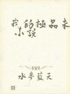 我的极品未婚妻 小说