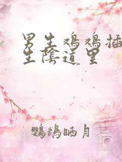 男生鸡鸡插进女生阴道里