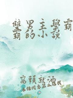 双男主学霸×校霸的小说