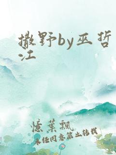 撒野by巫哲晋江
