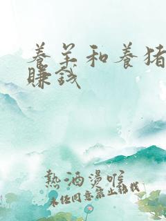 养羊和养猪哪个赚钱
